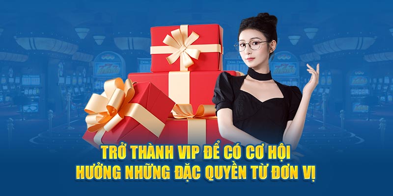 Trở thành VIP để có cơ hội hưởng những đặc quyền từ đơn vị